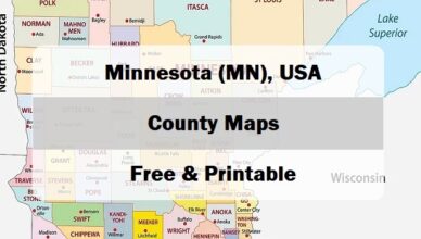 preview map of minnesota with counties