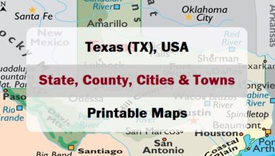 preview map of texas